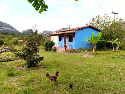 Ibicoara House | Casinhas estrela e sol