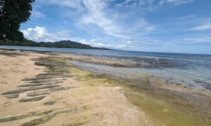 Cocles Cabin | Casita Bribri at Margarita Hills