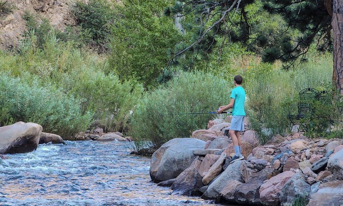 Lyons Cabin | Cedar Cabin*Fireplace*RMNP!
