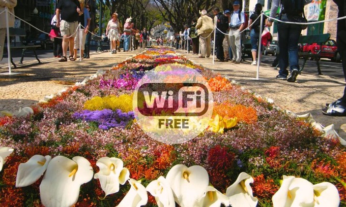 Se Apartment | Central Suite in Funchal 2N