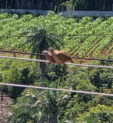 Triunfo House | Chácara Duquinha
