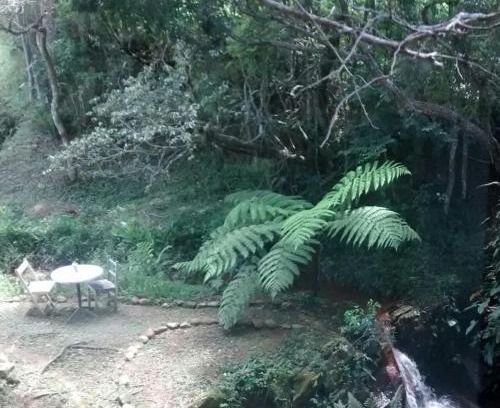 Passa Quatro Ski Chalet | Chalé da Cachoeirinha Passa Quatro