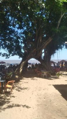 Belem Cabin | Chalé do marujus