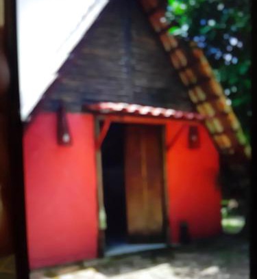 Paraty Apartment | Chalé Floresta