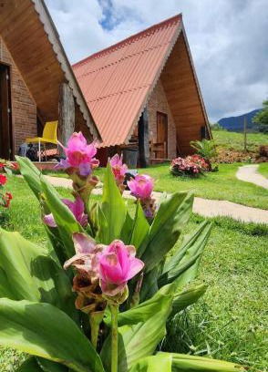 Divino de Sao Lourenco Ski Chalet | Chalés Flor do Caparaó em Patrimonio da Penha