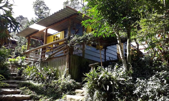 Fazenda Inglesa Cabin | Chales Bamboo Jungle