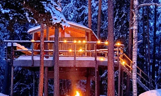 Overturingen House | Chalet perched in the trees on a private island with exceptional views