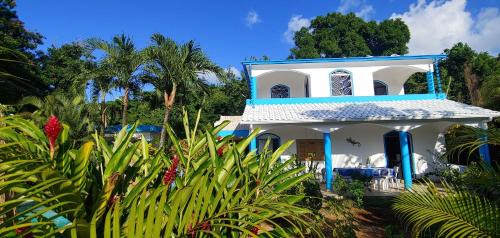 La Ceiba Apartment | Charmant appartement cuisine 1 chambre AC Bonita