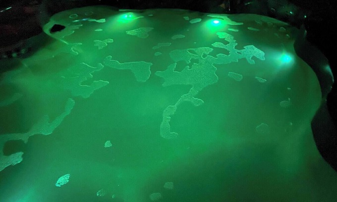 New Port Richey House | Charming 2-bedroom Vacation House in New Port Richey