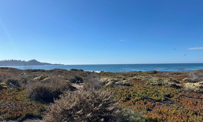 Carmel Meadows House | Charming 3-bedroom house in wonderful Carmel-by-the-Sea with WiFi