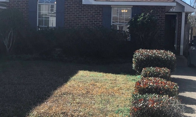 Village De L'Est House | Charming 3-bedroom house in vibrant New Orleans area with WiFi and AC!