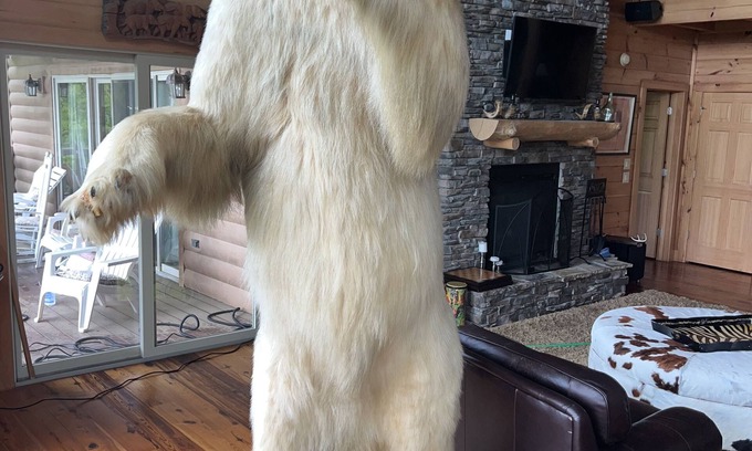 Sky Valley House | Charming 4-bedroom chateau with WiFi, fitness room in lovely Dillard.