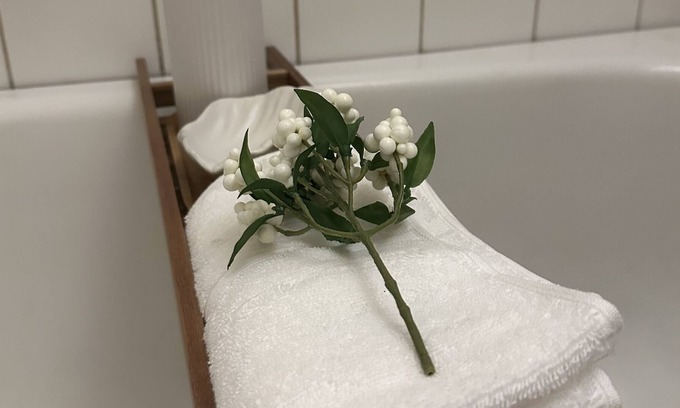 Skarholmen Apartment | charming affordable simple suite