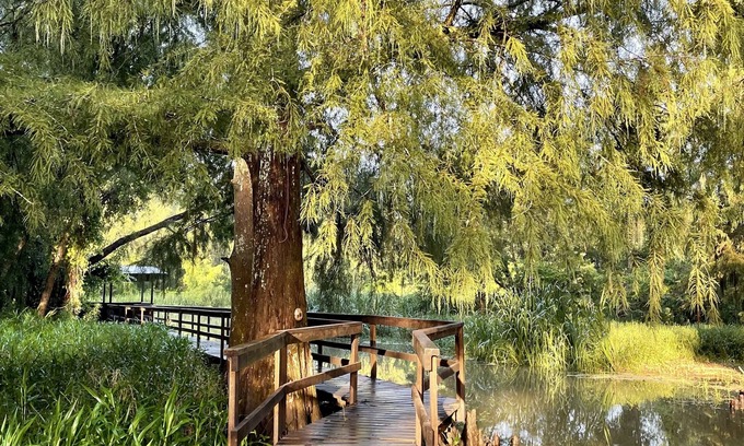 Plaquemine Cabin | Charming cabin on Lower Grand River — Bayou Pigeon, Louisiana