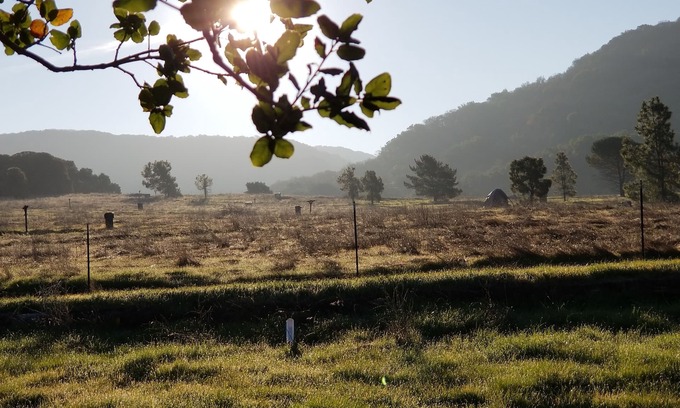 Napa House | Charming Cottage/Guest House 2 miles from Downtown Napa