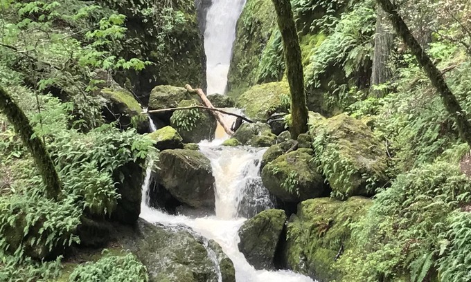 Fairfax Cottage | Charming Country Get-Away, 35 Minutes From San Francisco