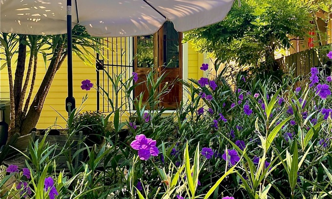 Faubourg Marigny Cottage | Charming Historic Marigny Cottage, 1865. Walk Everywhere!