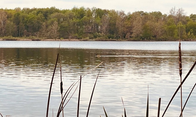 Deedsville House | Charming home on the lake!