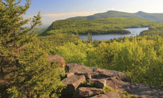 Ferndale Cottage | Charming Lake-House in the heart of the Catskills