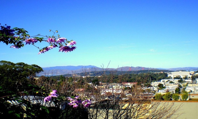 Ashbury Heights Apartment | Charming Large Studio With Expansive View