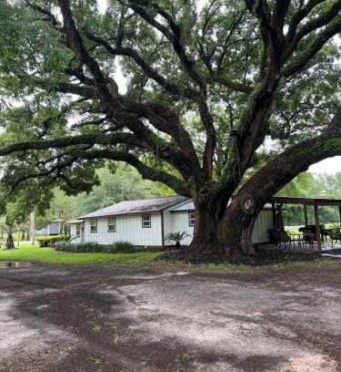 Bon Secour House | Charming Oak