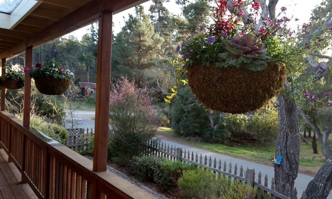 Marine Terrace House | Charming Remodeled Single Level. HotTub. Fenced backyard. Porch view!