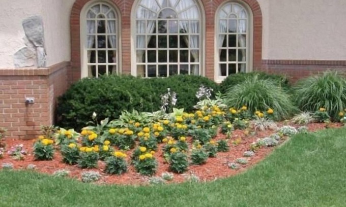 Bloomington Hotel | Chateau Hotel and Conference Center