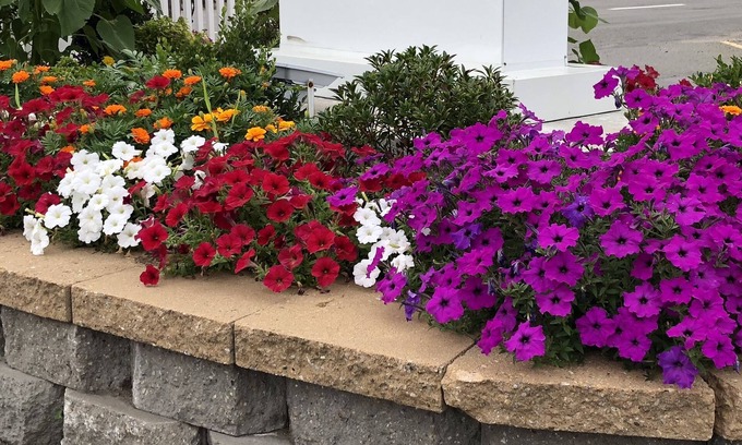 Saugus Hotel | Chisholms Motor Inn