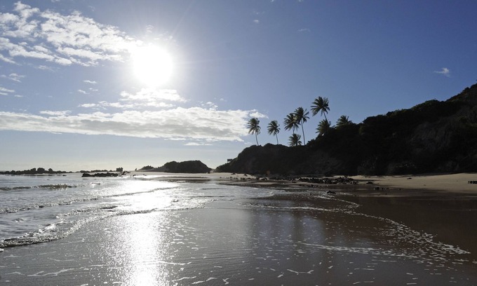 Bessa Apartment | Chocolate with Pepper Building