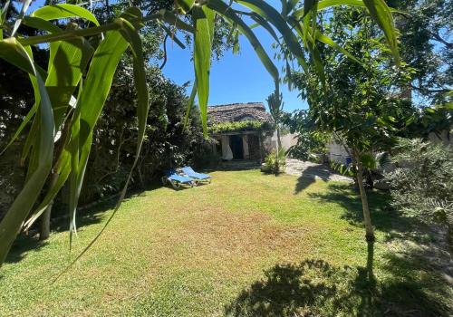 El Palmar House | Chozito de paja a 300m. playa Mangueta