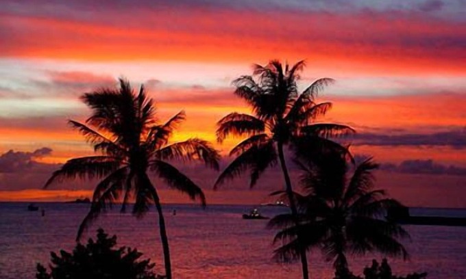 Tantalus Apartment | Clean/Chic/Secure Studio, FREE PRIVATE PARKING, LAUNDRY,WIFI, POOL