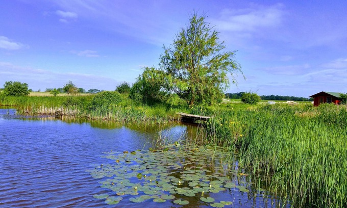 Rodenas Apartment | Close to Sylt - peace, nature, vacation at the biotope - free bicycles