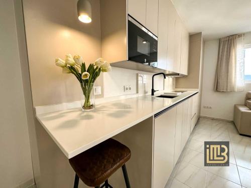 Ensanche Centro Apartment | CM Malaga Soho A