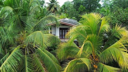 Baddegama Apartment | Coconut Shady Villa