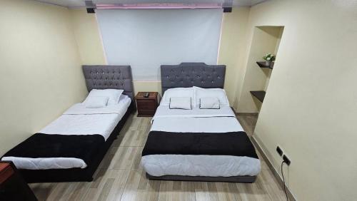 Campin Bed & Breakfast | Colisseum Roma House- Campin Simón Bolivar Movistar Embajada compensar