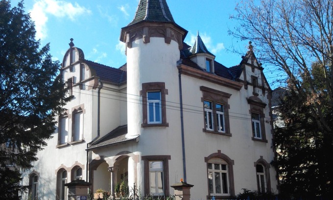 Colmar Apartment | COLMAR IN MAISON DE MAITRE 2/4 PERS - NEAR TGV STATION