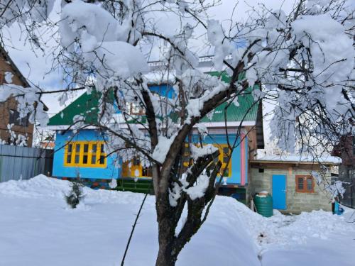 Srinagar House | Conifer view guest house
