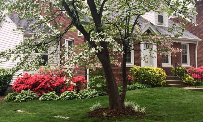 Audubon Park House | Convenient to every event that Louisville hosts!