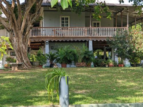 Panama Cabin | Coquira Soil Project