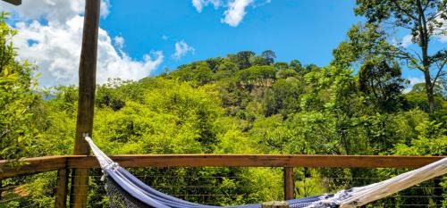 Santo Antonio do Pinhal Hotel | Cores e Flores da Serra Pousada by Concavus