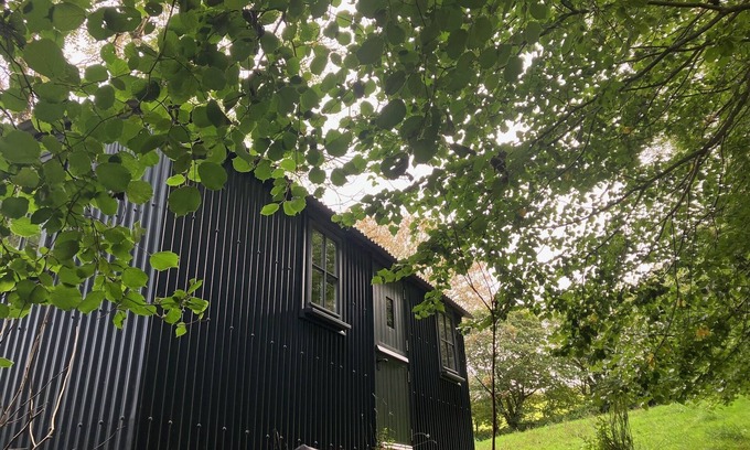 Lanivet House | Cornwall Woodland Dog Friendly Shepherd's Hut