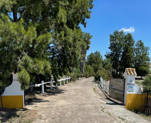 Espera Apartment | Cortijo el Morisco.