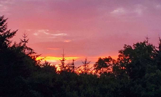 Honiton Cottage | Cosy cottage with hot tub in the Blackdown Hills , Devon