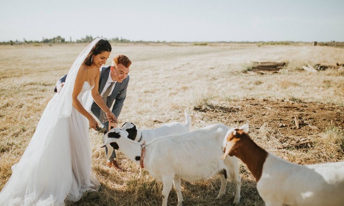 Davis Cottage | Country Cottage With View Close To UC Davis