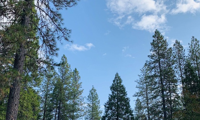 Shasta County House | Cove Woods - a remote farm/vineyard/forest getaway