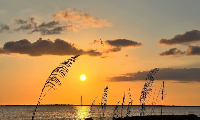 Buena Vista House | Cozy 2-bedroom in lovely Holiday a family and pet friendly home