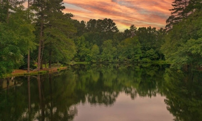 Aiken Cabin | Cozy Cabin nestled by picturesque 3.4ac Lake. Close to Stableview and downtown.