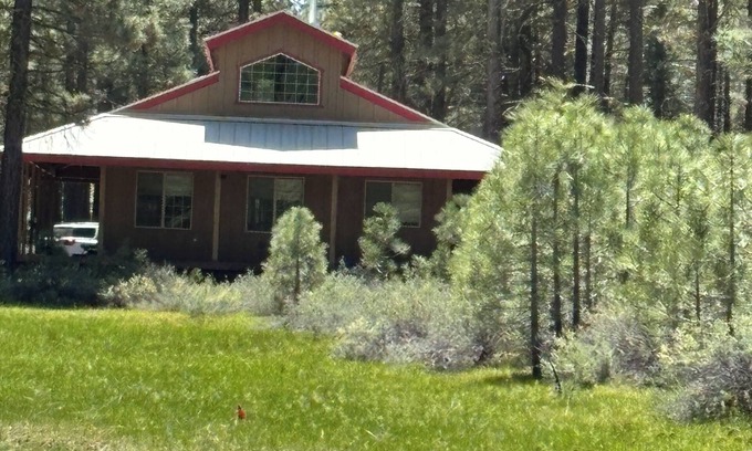 Portola Cabin | Cozy Cabin with wrap around porch. Walking distance to Chalet View Lodge.