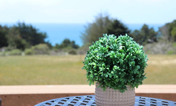 Gualala House | Cozy Getaway with Ocean View and Private Entrance!