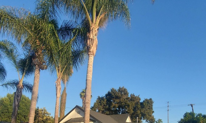 Harbor House | Cozy guest house, 3min to LB Memorial Medical Center!